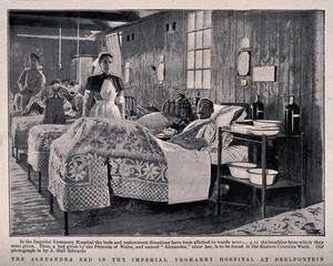 view Boer War: a military hospital ward with patient in the "Alexandra" bed donated by the Princess of Wales. Process print after J. Hall Edwards, 1900.