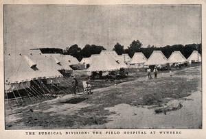 view Boer War: marquees and patients of the field hospital at Wynberg, South Africa. Halftone, 1900, after J. Bruton.