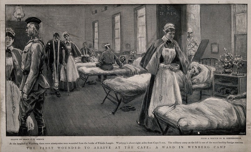 Boer War: a full ward in the Wynberg military hospital, South Africa, with nurses attending the wounded. Halftone, 1900, after P.F.S. Spence after H. Egersdorfer., by Heinrich Egersdörfer