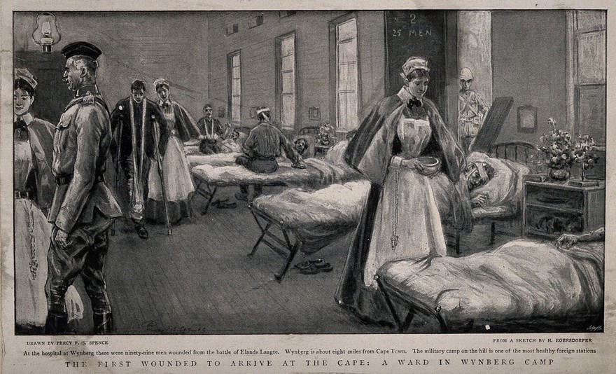 Boer War: a full ward in the Wynberg military hospital, South Africa, with nurses attending the wounded. Halftone, 1900, after P.F.S. Spence after H. Egersdorfer.