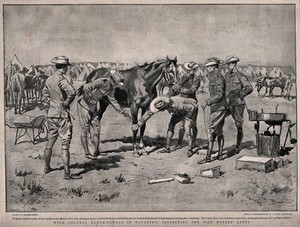 view Boer War: Colonel Baden-Powell inspecting a sick horse at a military camp in Mafeking (Mahikeng). Process print by J.Swain & Son after G. Scott after D. Taylor.