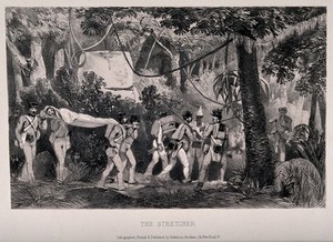 view 8th Xhosa War: British soldiers bearing a wounded man on a stretcher and supplies through jungle. Lithograph, ca. 1852.