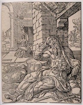 The blinding of Tobit by bird-droppings falling on his eyes. Woodcut by M. van Heemskerck.