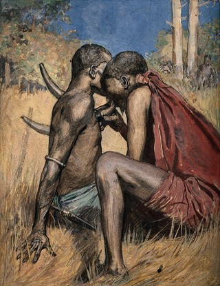 An African medicine man or shaman applying the technique of cupping to a patient (using animal horns), which involves drawing blood to the surface of the body. Watercolour.