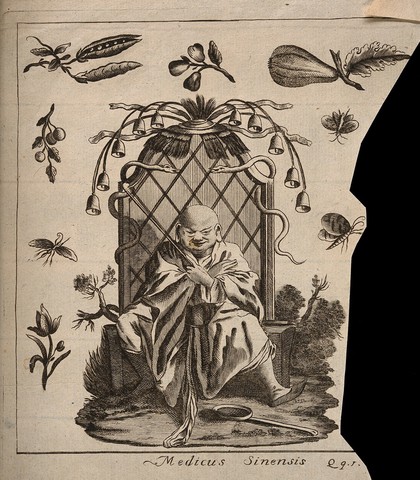 A Chinese physician sitting on a throne (?) surrounded by fruits, flowers and insects. Engraving.