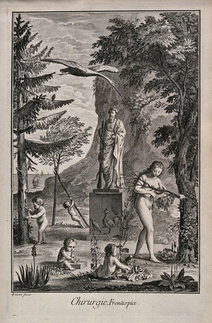 view Allegory of surgery. Engraving with etching by B. L. Prevost.