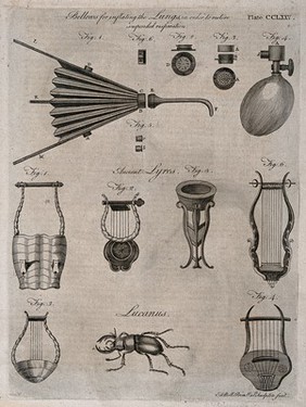 Surgical instruments, including bellows for inflating the lungs. Engraving by Andrew Bell.