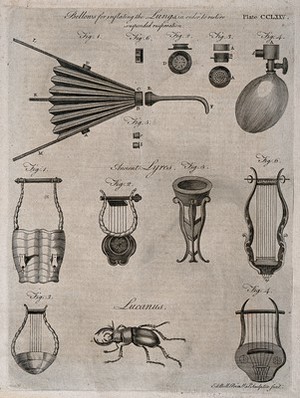 view Surgical instruments, including bellows for inflating the lungs. Engraving by Andrew Bell.