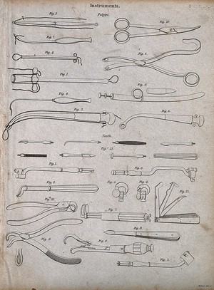 view Surgical instruments for operations on polypes. Engraving by Mutlow.