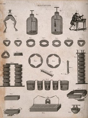 Galvanism: 25 figures illustrating experiments and instruments, including the galvanism of a frog's legs and a cow's head, as discovered by Luigi Galvani. Engraving, 1790/1820?.