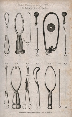 Surgical instruments for use in midwifery: 17 figures. Etching, 1788/1795.