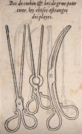 Three pairs of surgical forceps, used to remove foreign bodies. Woodcut, 1560/1600.