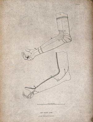 view A sixteenth-century iron arm: two figures, including a cross-section. Line engraving by J. Skelton after S.R. Meyrick.