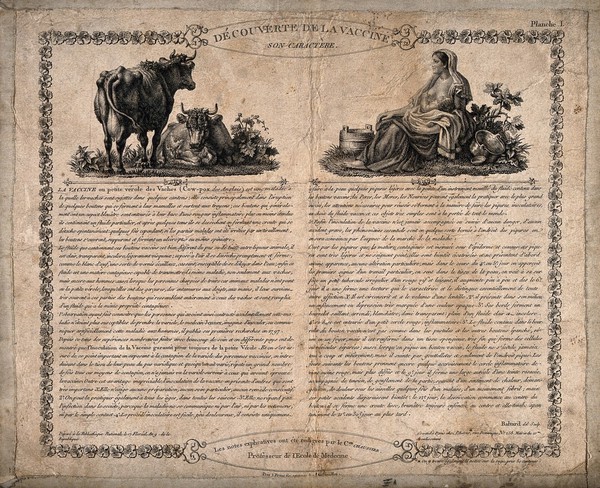 Vaccination: description and vignettes of cow and of a suckling mother. Etching with letterpress by L. Baltard after himself, 18--.