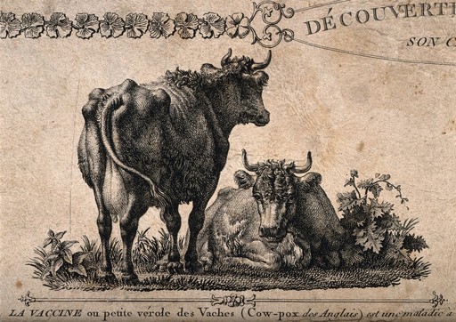 Two vignettes relating to vaccination. Etching with letterpress by L. Baltard after himself.