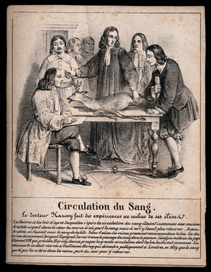 view William Harvey demonstrating with a stag the circulation of the blood to a group of students. Lithograph.