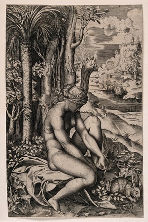 view Venus pulling a thorn from her foot in an elaborate rural setting, a rabbit accompanies her. Engraving by M. Dente, 1516, after Raphael.