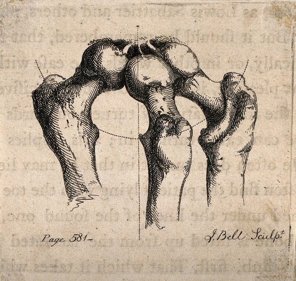 Demonstration of movement of the ball and socket joint of the femur. Etching by J. Bell.