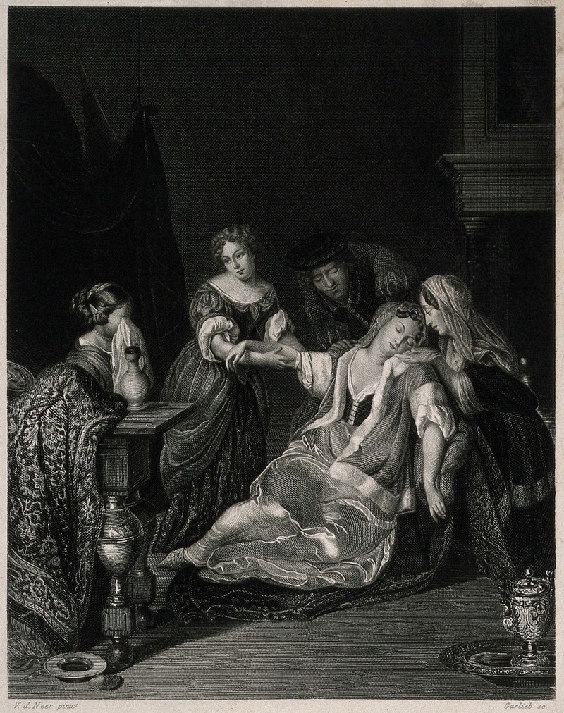 A surgeon tending a woman who has just fainted after bloodletting; she is supported by female members of her family. Engraving by Garlieb after Eglon Hendrik van der Neer., by Eglon van der Neer