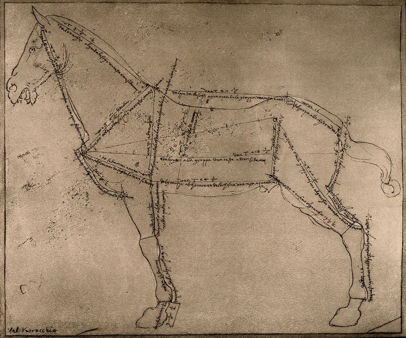 Study of a horse, side view, with lines of proportion marked and annotated on its body. Photographic reproduction after a pen and ink drawing attributed to A. Verrocchio, original ca. 1470-1488, reproduction, 1880-1920., [1880-1920?], by Andrea del Verrocchio