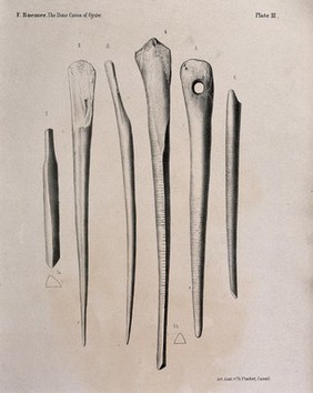 Bones (or early tools, made of bone?) found in the caves of Ojcow, Poland. Lithograph, 1870/1890?.