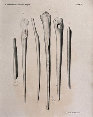 view Bones (or early tools, made of bone?) found in the caves of Ojcow, Poland. Lithograph, 1870/1890?.