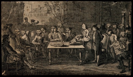 Men of fashion attending a lecture on the anatomy of the horse. Engraving, 17--.