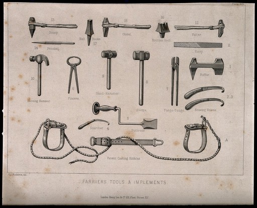 Tools and implements of the farrier: eighteen figures. Engraving with etching by C.J. Muckersie, 1840/1880?