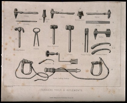 Tools and implements of the farrier: eighteen figures. Engraving with etching by C.J. Muckersie, 1840/1880?.