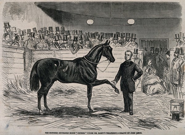 John Solomon Rarey with the stallion 'Cruiser', observed by onlookers. Wood engraving by J. Swain after J. Leech, 1858.