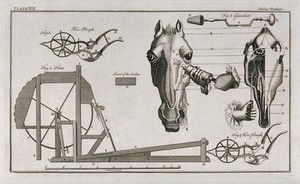 view Treatment of a horse with glanders; examples of ploughing machinery and a flax spinning machine (?). Etching, 1760/1820?.