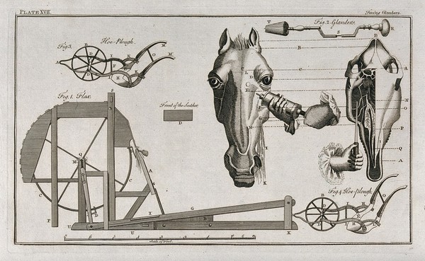 Treatment of a horse with glanders; examples of ploughing machinery and a flax spinning machine (?). Etching, 1760/1820?.