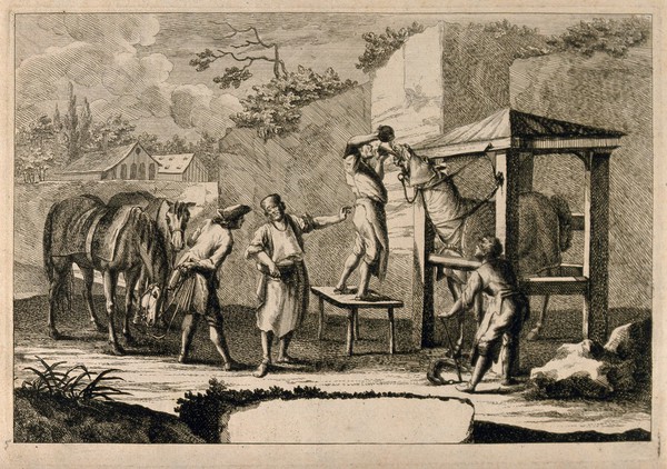 A horse-doctor and his assistants administer medicine to a horse restrained in an outdoor stall, observed by a man with two horses. Etching, 1730/1790?.