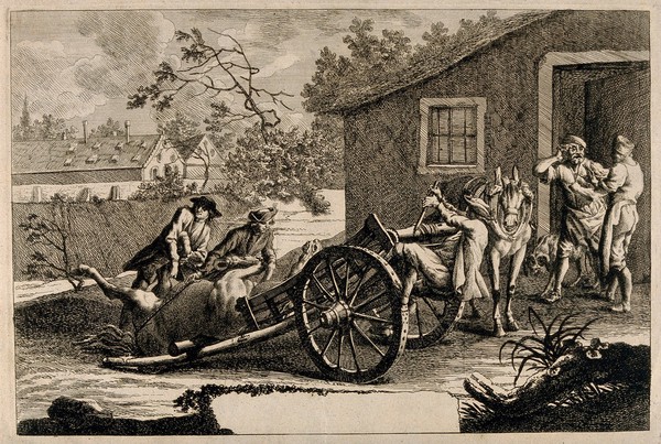 An injured horse is pulled onto a cart by three men, while a stable-hand attempts to calm an anxious colleague. Etching, 1730/1790?.