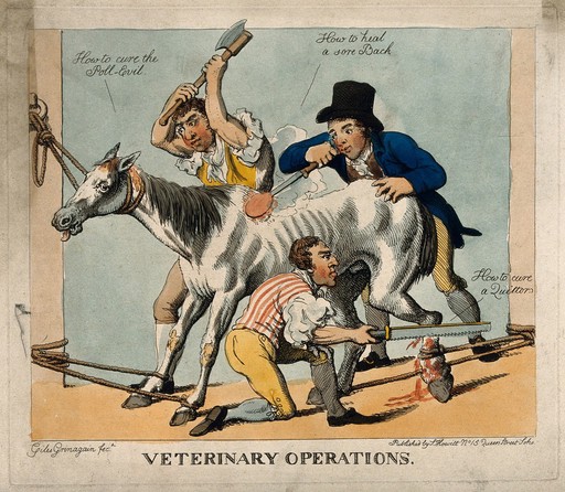 Three veterinary surgeons attempting to cure a horse of various ailments, using dubious and violent means. Coloured etching by Giles Grinagain, 1800/1815?