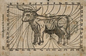 view A bull, with parts of the body indicated and numbered: the numbers forming a border around the image. Woodcut, 17--.