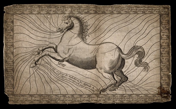 Diagram of a horse in motion, indicating the location of sixty different maladies on the body. Engraving, 17--?.