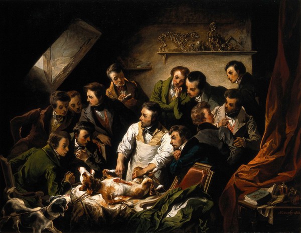 A physiological demonstration with vivisection of a dog. Oil painting by Emile-Edouard Mouchy, 1832.