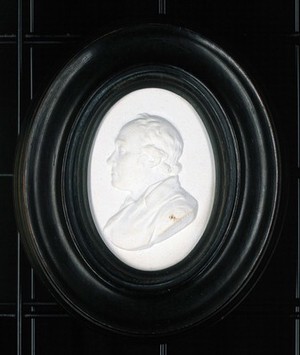 view John Hunter. Plaster relief.