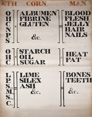 view Components of "Eth.", "Corn." and "Man". Table in india ink by W. Sowerby.