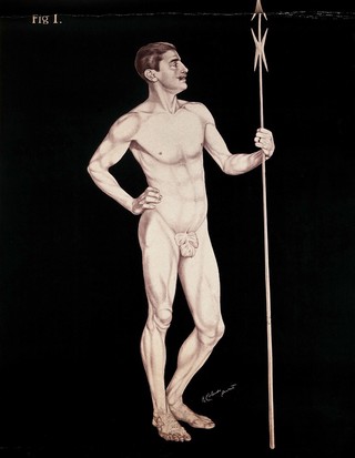 Artistic poses, plate I: a man holding a pike. Lithograph by Robert J. Colenso.