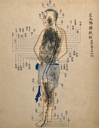 Acupuncture chart with a series of points indicated on the figure of a standing Chinese man. Watercolour.