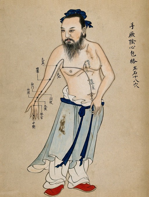 Acupuncture chart with a series of points indicated on the