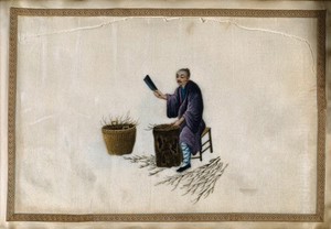 view A man chopping twigs on a wooden block, perhaps as fuel (?) for an oven used in processing harvested tea. Gouache by a Chinese artist, ca. 1850.