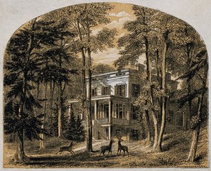 view John James Audubon: his house. Colour line block by Richardson Cox.