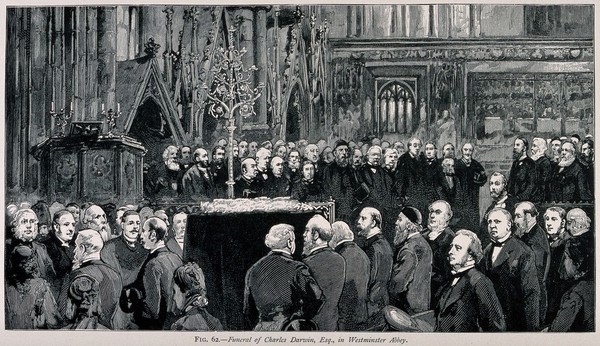 The funeral ceremony of Charles Darwin at Westminster Abbey, 26 April 1882. Wood engraving.