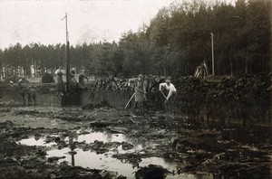 view Franzensbad (Františkovy Lázně), Czechoslovakia: men cutting peat. Photograph.