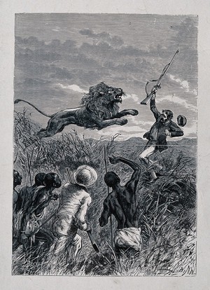 view David Livingstone, holding a gun, attacked by a lion; Africans and a missionary in the foreground. Etching.