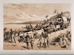 view David Livingstone arriving at Lake Ngami in 1849. Lithograph.