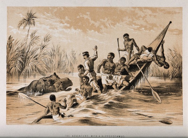 David Livingstone (?) and his followers on a boat, attacked by hippopotamus. Lithograph.